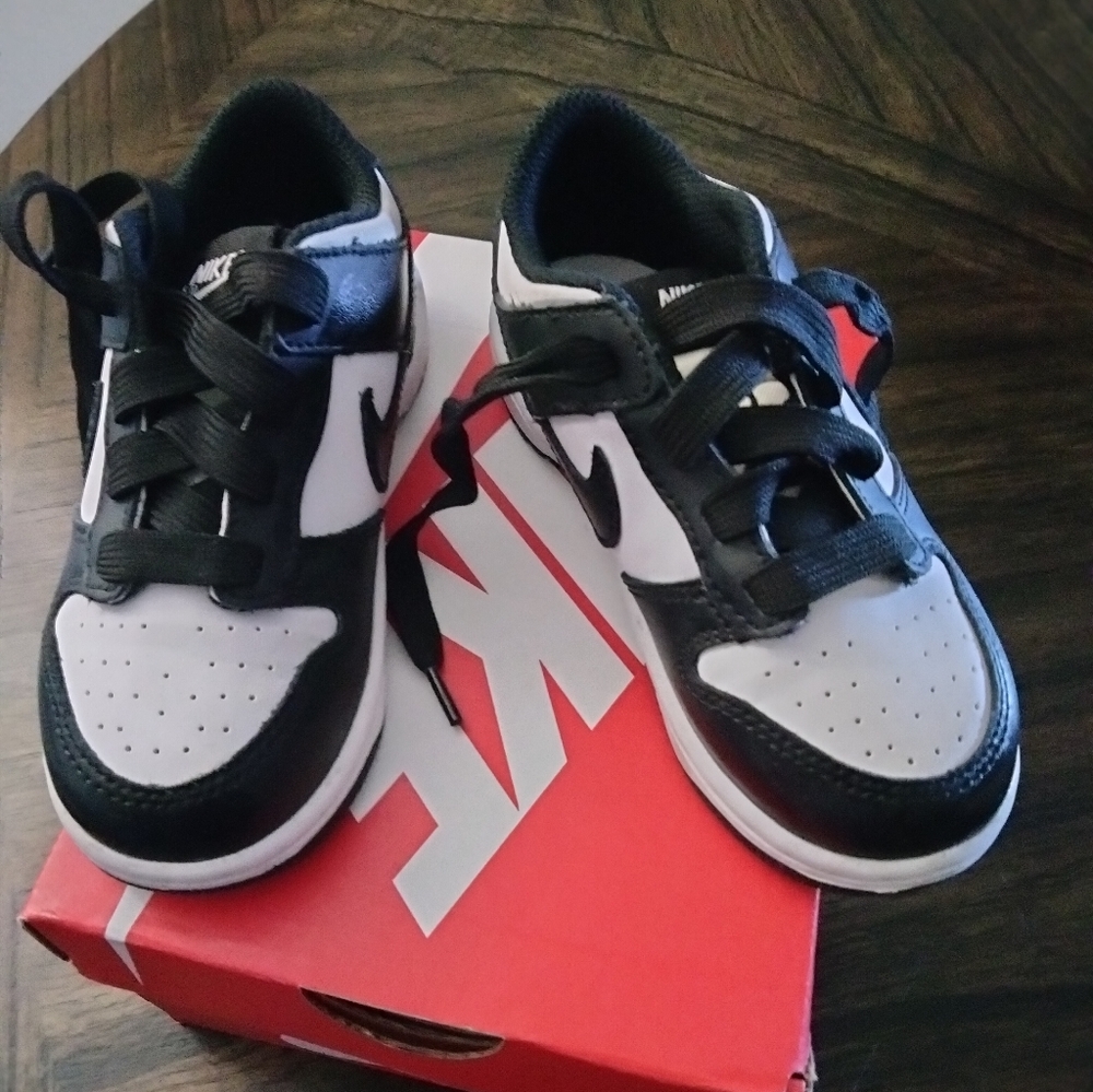 Nike Dunk Panda